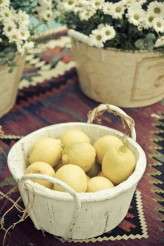 nanda_e_lee_wedding_0086