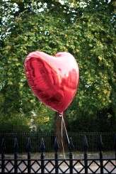 Naomi Chris Wedding for Kat-318