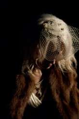 Off_camera_flash_photography_farm-006