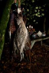 Off_camera_flash_photography_farm-013