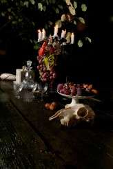 Off_camera_flash_photography_farm-015