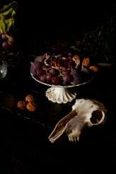 Off_camera_flash_photography_farm-016