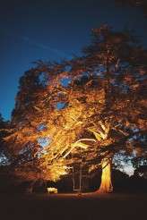 natasha&charlie_rnrb_226