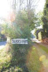 Amy & Andrew Wedding-1000e