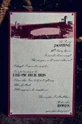 Erica-Ann-Photography-120