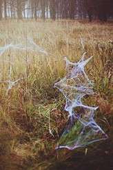 Saules Pieva Photography – Mist_016