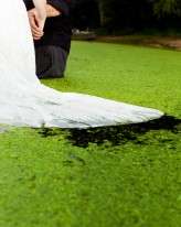 bride and grrom swamp shoot20