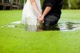 bride and grrom swamp shoot22