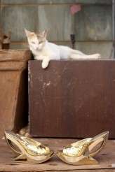 indian engagement ceremony003