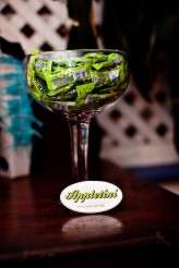 movie themed key west wedding47