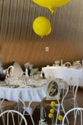 swedish circus wedding24