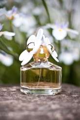 FH_Daniel & Annette_0105