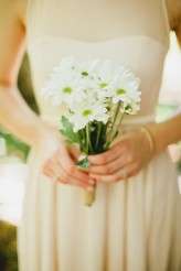 backyard wedding australia 24