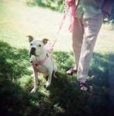 engagement_newport-11