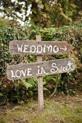 irish backyard outdoor wedding white tea photography hey day photo-002