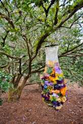 008D&C__SarahTewPhotography2012