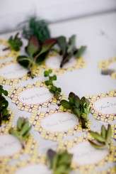 113D&C__SarahTewPhotography2012