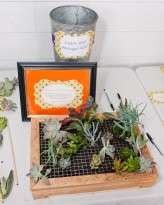 115D&C__SarahTewPhotography2012