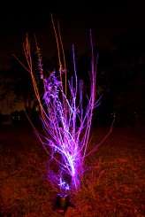 185D&C__SarahTewPhotography2012