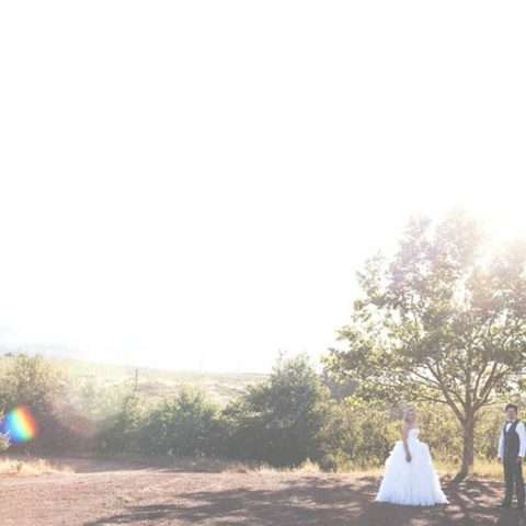 Cape Town River lodge Wedding_Mark Kalkwarf 54