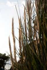 Barcelona wedding_f2studio photography Spain-167