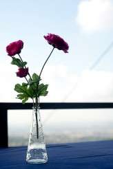 Barcelona wedding_f2studio photography Spain-33