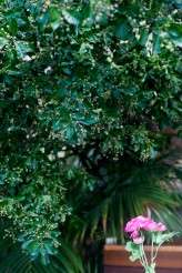 Barcelona wedding_f2studio photography Spain-34