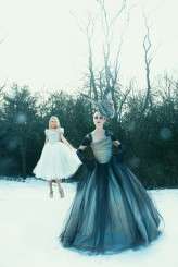Evil Queen&Alice.1