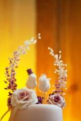 Louise & Paul Wedding-1184e