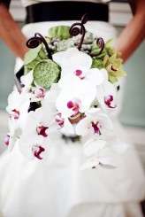 Poppaw_Proud_Sarah_Babcock_Studio_0329IMG4799bab_low