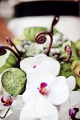 Poppaw_Proud_Sarah_Babcock_Studio_0330IMG4800bab_low