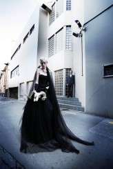 Rams skull_Alpine Image Co__015