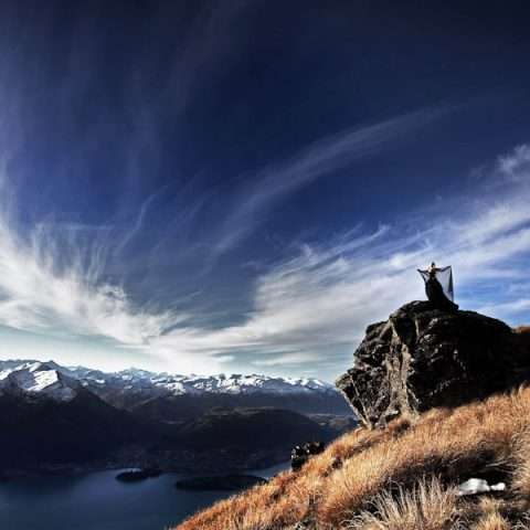 Rams skull_Alpine Image Co__078