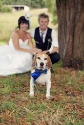 S+A Wonderland Chelsea Parsons 120