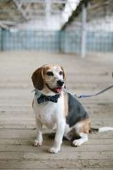 S+A Wonderland Chelsea Parsons 30