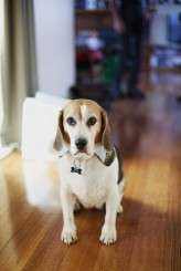 S+A Wonderland Chelsea Parsons 4