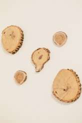 Amelia Hambrook Photographyhttps://www.facebook.com/ameliahambrookphotography