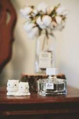 Amelia Hambrook Photographyhttps://www.facebook.com/ameliahambrookphotography