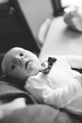 Amelia Hambrook Photographyhttps://www.facebook.com/ameliahambrookphotography