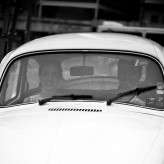 diybrazilianwedding_frankieemarilia-56