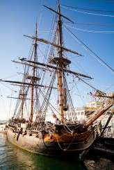 orangefoto_wedding_lou_juergen-14