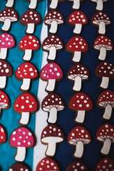 Albert Palmer Photography Matara Centre Jen Ben-085