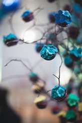 Albert Palmer Photography Matara Centre Jen Ben-147