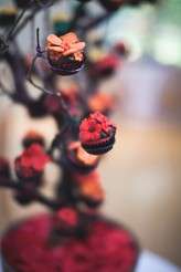 Albert Palmer Photography Matara Centre Jen Ben-150