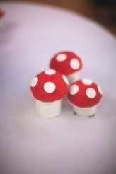 Albert Palmer Photography Matara Centre Jen Ben-152