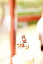 Brisbane-Vintage-Wedding-POP-photography-83