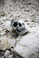 DayoftheDead_LydiaStampsPhotography 070