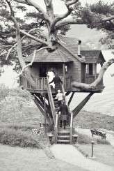 Scarlett hair Mirrorbox Photography 109