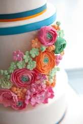 Sugared_Saffron, Caro Hutchings-105