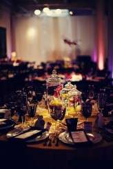 Theme-Park-Wedding-Tinywater-Photography_0058